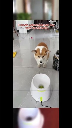 Automatic Ball Launcher for Pets - Fun Toy for Dogs