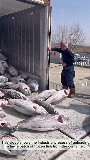 How to unload tons of frozen fish