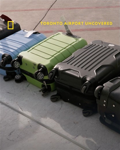 Spring holidays bring an annual surge in air travel, which pushes airports to their limits. Passenger numbers climb, staff work at full capacity, and delays ripple through the system. For one group of travelers, a late arrival sets off a frantic dash through the terminal, where every minute matters. Is Punta Cana still within reach, or will they watch their holiday taxi out without them? Watch Toronto Airport Uncovered, Thursdays at 8pm, on National Geographic UK | National Geographic UK