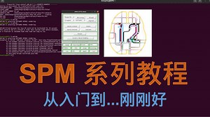 SPM系列教程-03：头动校正 Realign