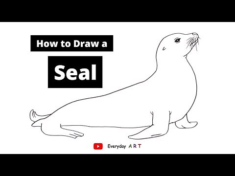 Art 067 - How to Draw a Seal - Simple and Easy Drawing 2021