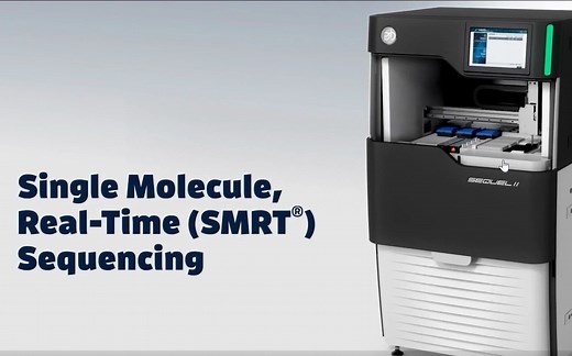 三代测序：Sequel SMRT原理讲解-中英字幕