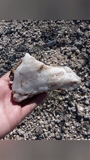 Stone Age Artifacts of many varieties.