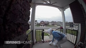 Spotted: The Easter Bunny leaving a treat! 🐰🥚​ Have your home set for when guests hop over with our doorbell cameras and 24/7 professional monitoring system. Learn more about our cameras: https://pulse.ly/ml4vkvysnm | Brinks Home