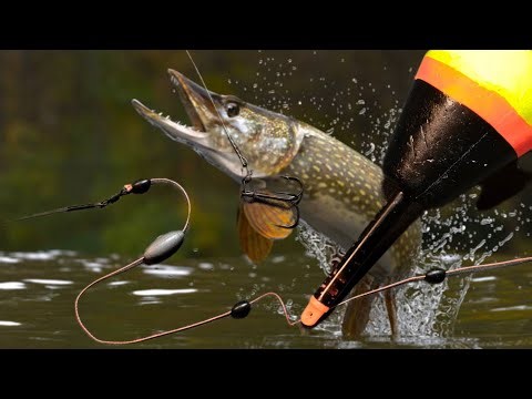 Поплавочна снасть на щуку -проста й ефективна оснастка для хижачки