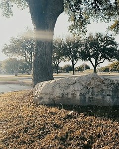 2.1K views · 126 reactions | Sunday’s are our favorite! We miss you in person but we enjoy having you tuned in to our online services. HOW DID YOU WATCH OUR SERVICES? Let us know in the comments. If you miss any of them go to our FB page to watch them. facebook.com/SACornerstone #church #online #streaming #live | Cornerstone Church | Facebook