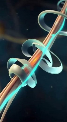 Multiple Sclerosis Explained in 3D | How Myelin Damage Disrupts Nerve Signals