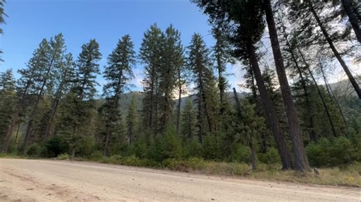 Mic Manik on Instagram: "Land of the lost streaming everywhere!!!! Good music with ZERO drama!!!! Real lyrics no Ai!!! #maniklife #realmusician #noaihere#manikmode #fixyaface"