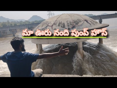 మా ఊరు పుంపహౌస్ #fishinglife #ma uru