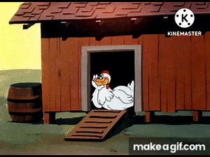 chicken eggs Swooner Crooner on Make a GIF