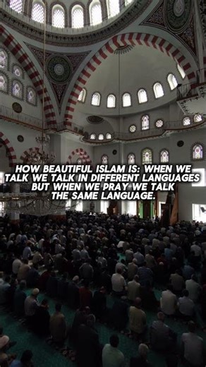 The beauty of Islam:“Our religion units us then why do we create differences between us” #fyp#islam