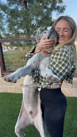 rescue dogs with sara | Cryptooooo🤍 So beyond proud of him. He is beyond resilient. Crypto has been coming out his shell + learning that he is able to be the silly... | Instagram