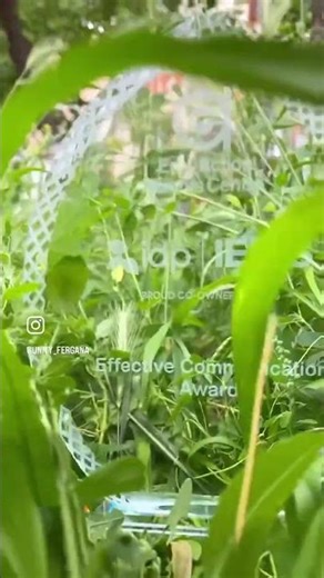 How do you like that ❤️#learning#unity#result#achievement #learn#now