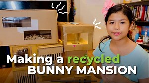 24 reactions · 4 comments | Our grade 5 student, Alle made her own bunny house where she calls it her bunny's mansion making it with recycled cardboard and plastic materials she found in her house. This was her project for Humanitarian Week. She took us on a tour of her bunny's house and explained how she made it. See the video of her recycled project. | NIVA American International School Bangkok | Facebook