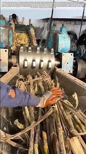 Crushing the Cane: The Machine That Turns Stalks into Sweet Juice