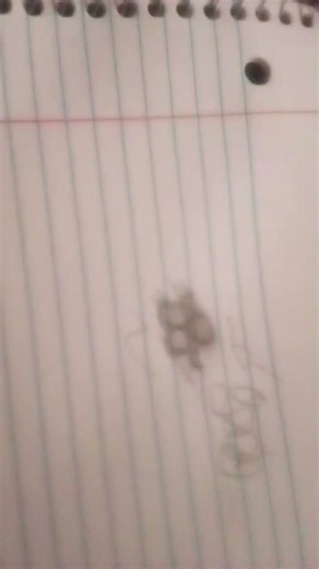 did I trick u with the wi-fi thing