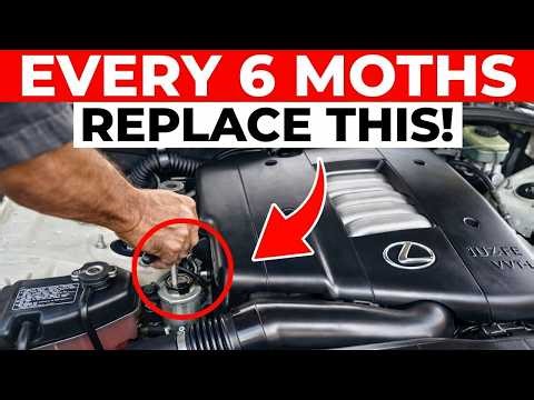 High-Mileage Lexus Owners Reveal Their 500k Mile Secrets!