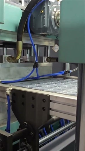 PP material sauce box made by our machine