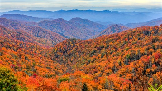 When can North Carolina expect to see peak fall foliage?