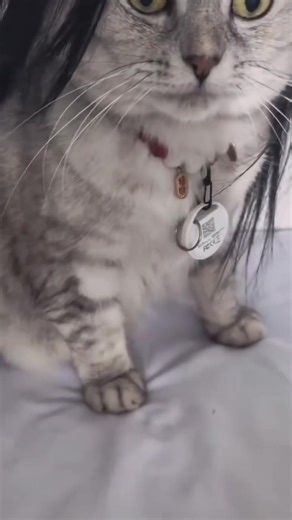 Francisco Sanchez on Reels