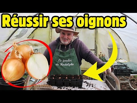 Faut absolument essayer cette méthode pour de beaux oignons !