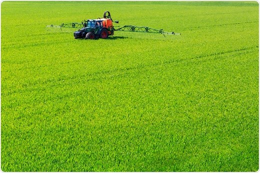 Glyphosate in Food: How Dangerous is it?