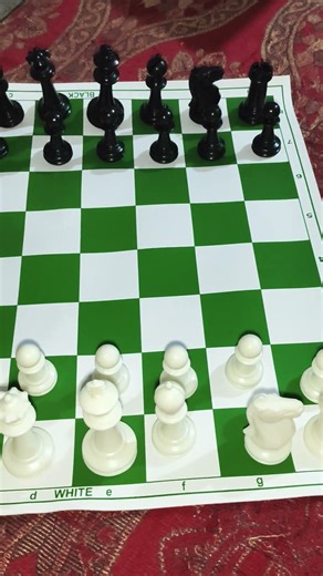 New Chess Mat And Pieces #chess