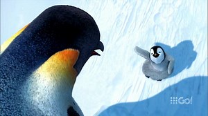 18 reactions | Who's got Happy Feet this Saturday?  #9HappyFeet | 9Go! | Facebook