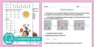 Evaluare fracții – Matematică clasa a IV-a
