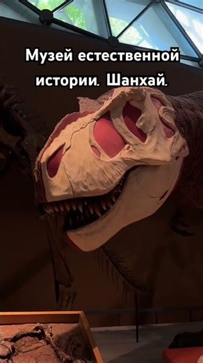 Шанхайский музей естественной истории.