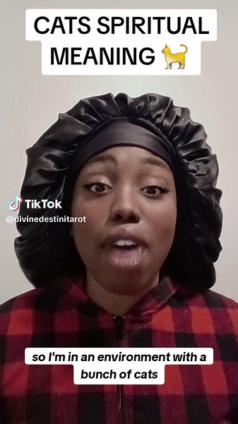 Understanding the Spiritual Meaning of Cats