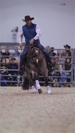 Downunder Horsemanship | Q&A: How Often Do You Float Your Horse’s Teeth Clinton answers: How often do you float or file down your horses’ teeth? How often do you... | Instagram