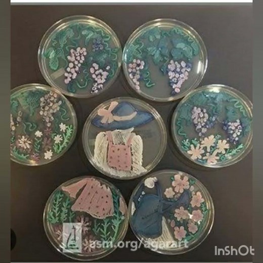 Microbial Art/Painting with Microbes/ASM Agar Art/Haa-Meem 4science