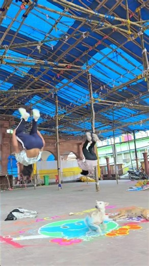 Dog🐶ko Mera Stunt🤸‍♂️Acha Laga🥰…// #funny #love #dogpets #pets #shorts