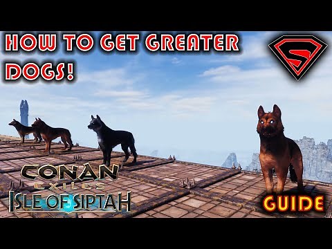 CONAN EXILES ISLE OF SIPTAH HOW TO GET GREATER DOGS [ALL PLAYFUL PUP LOCATIONS]