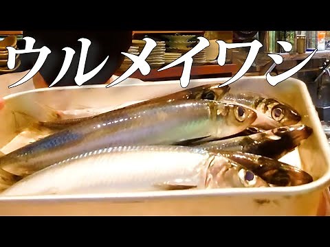 【親方が捌く！創る！】 良く肥えた『ウルメイワシの天ぷら』再編集版