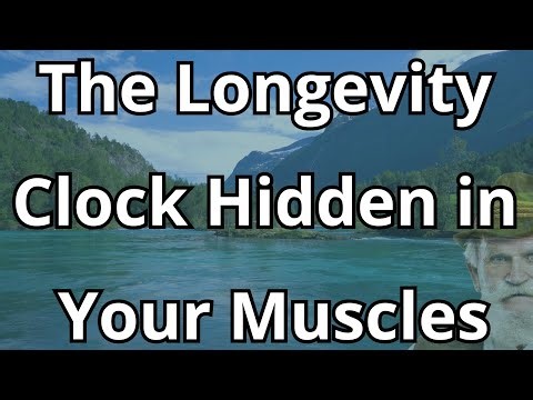 The longevity clock hidden in your muscles - senior health