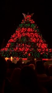 Ever wonder how the Tree comes together? Here’s a peek 🎄✨ We’ve been perfecting this magic for 71 years, and no one does it like we do. Less than a month to go — buy your tickets and follow along for more! 🎟️ Get tickets: https://www.carolinavoices.org/happenings/the-71st-singing-christmas-tree | Carolina Voices