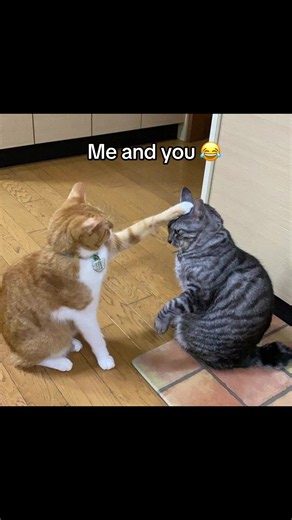 Me and You — Cute Couple Moments | Me and You Love Video