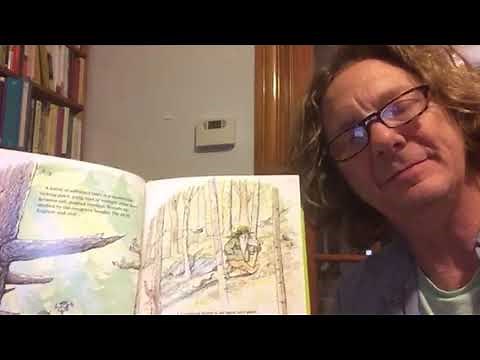 Crinkleroot's Guide to Knowing the Trees CM