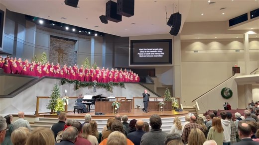 Sweet Tree Productions on Reels