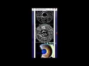 how to use iriapp.com (real-time iridology software)