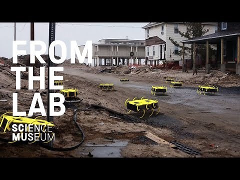 The robot finding earthquake survivors