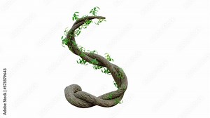 Tree grow or vine in the shape of the English text. Letter font S. Alpha Channel, cg animation, 3D Render.