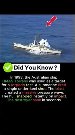 What One Torpedo Can Do – HMAS Torrens