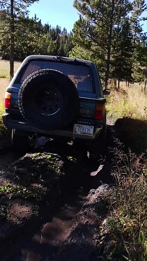 Golf Clap | Crazy Bear Productions