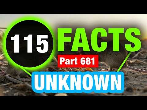 115 Amazing Facts | Facts You Can’t Miss