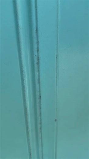 Sal Rips Everything on Instagram: "RipsEverything PackBattle: Barber with the Heat A regularly scheduled hair appointment turns into a heated battleground. Client vs barber!! @t.c.uts bringing the heat! Who will come out on top? All prices sourced from @getcollectr app! Please follow, like, comment and share to support this page 🫶🏽 YT: @SalRipsEverything IG: @RipsEverything TT: @RipsEverything #RipsEverything #keeponrippinit #pokemon #packbattle #barberwiththeheat #pokemoncommunity #pokemontcg