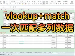 vlookup match黄金组合，财务对账、填单效率直接翻倍