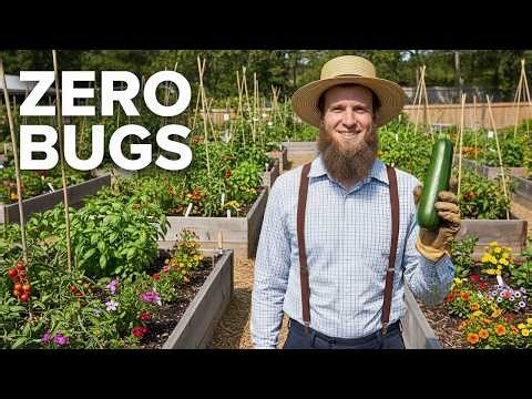 The Amish Secret to Keeping Pests Out of Your Garden Forever
